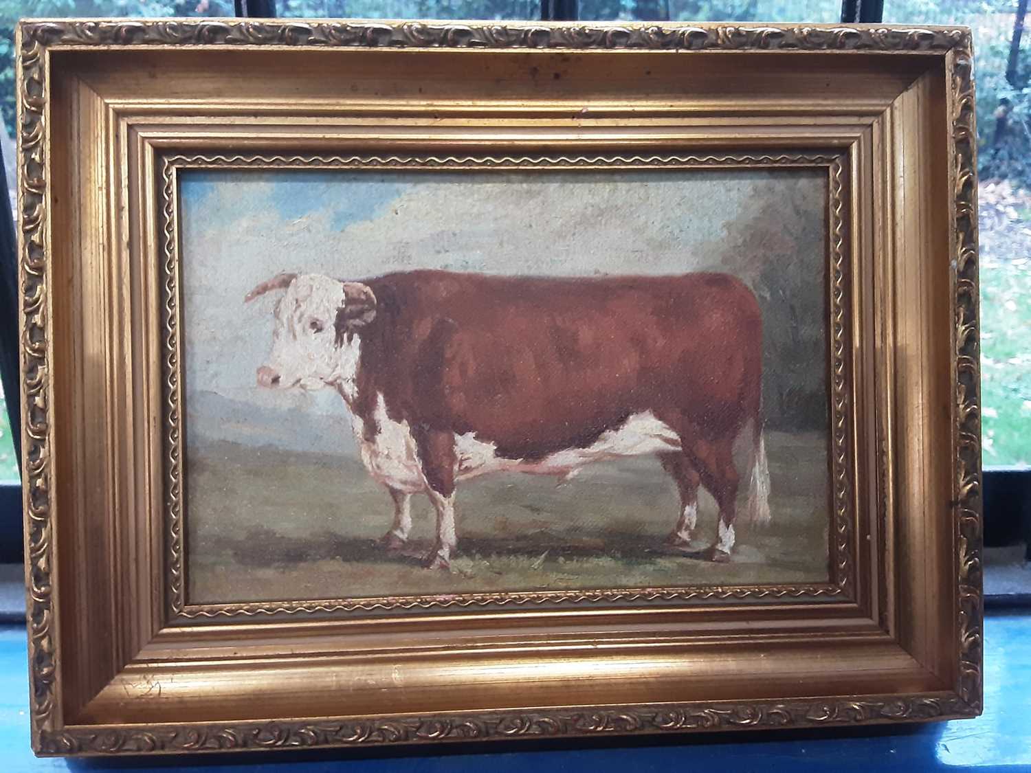 Lot 66 - 20th Century Continental School oil on canvas study of a prize bull, laid on board, in gilt frame, 24 x 15.5cm