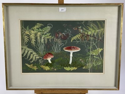 Lot 177 - Penny Berry Paterson (1941-2021) two gouache paintings - forest floor studies, both signed and dated '12/11/1978', the first 46cm x 30cm, the second 36cm x 50cm, in glazed frames (2).