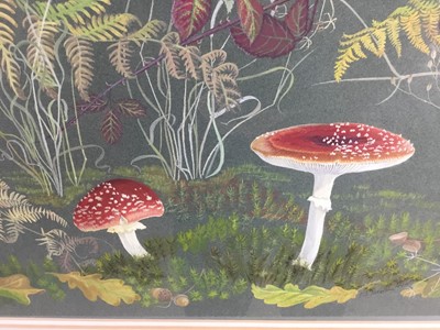 Lot 177 - Penny Berry Paterson (1941-2021) two gouache paintings - forest floor studies, both signed and dated '12/11/1978', the first 46cm x 30cm, the second 36cm x 50cm, in glazed frames (2).