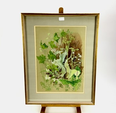 Lot 177 - Penny Berry Paterson (1941-2021) two gouache paintings - forest floor studies, both signed and dated '12/11/1978', the first 46cm x 30cm, the second 36cm x 50cm, in glazed frames (2).