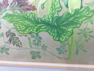 Lot 177 - Penny Berry Paterson (1941-2021) two gouache paintings - forest floor studies, both signed and dated '12/11/1978', the first 46cm x 30cm, the second 36cm x 50cm, in glazed frames (2).