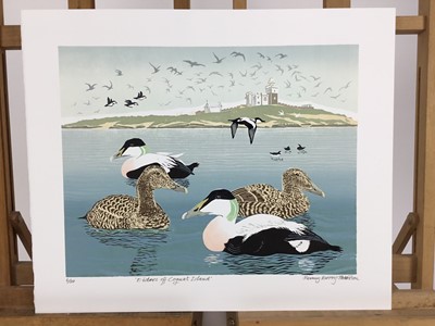 Lot 190 - Penny Berry Paterson (1941-2021) colour linocut - 'Eiders off Coquet Island', signed and numbered 6/20, image 42cm x 34cm, unframed.