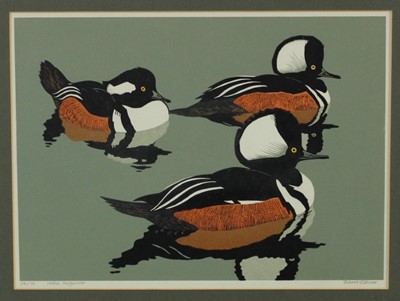 Lot 1121 - Robert Gillmor (b. 1936) linocut - Hooded Mergansers, signed inscribed and numbered 54/70, 23 x 32cm, glazed frame