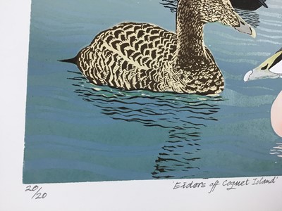 Lot 138 - Penny Berry Paterson (1941-2021) colour linocut, Eiders off Coquet Island, signed, inscribed and numbered 20/20, 32 x 41cm