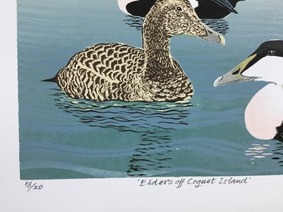 Lot 210 - Penny Berry Paterson (1941-2021) colour linocut, Eiders off Coquet Island, signed, inscribed and numbered 18/20, 32 x 41cm