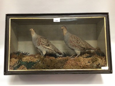 Lot 948 - Edwardian pair English Partridges within naturalistic setting in glazed case