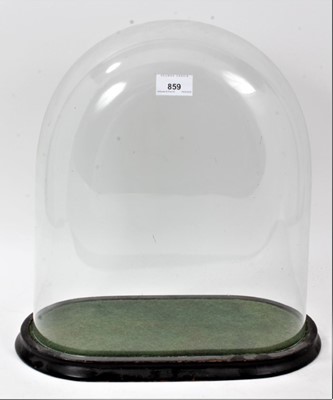 Lot 859 - Victorian glass dome on ebonized plinth