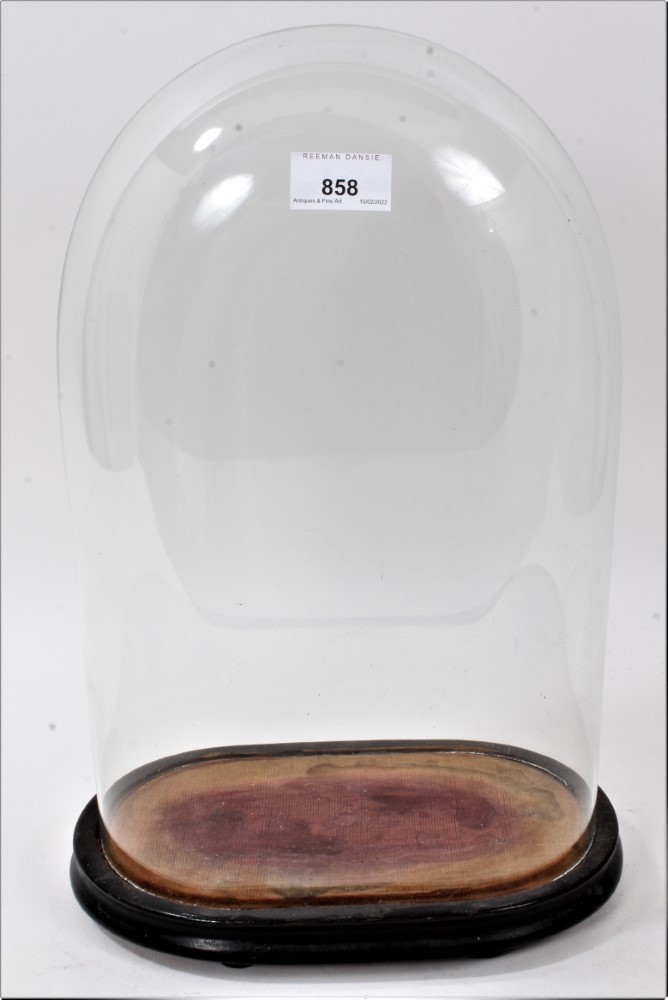 Lot 858 Victorian glass dome on ebonized plinth