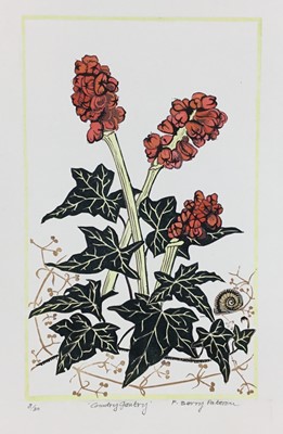 Lot 77 - Penny Berry Paterson (1941-2021) four unframed colour linocut prints- Gifford's Hall I, signed and numbered 3/12, John Eley in the Afternoon (BBC Radio Suffolk), signed and numbered 4/20, St. Mary'...