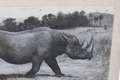 Lot 44 - Harry Dixon (1861-1942), oil on card, 'Black Rhino'