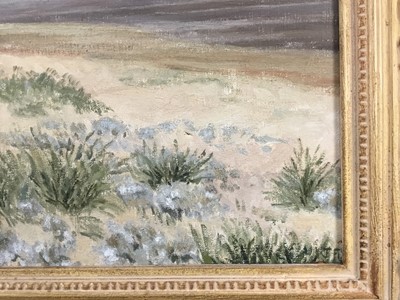 Lot 12 - June Forrest oil on canvas - Sandwich Bay, 51cm x 41cm, framed.