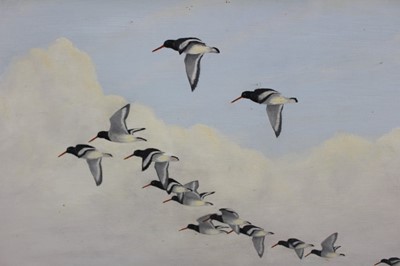 Lot 1001 - *Julian Novorol (b. 1949) oil on board - Oystercatchers, signed and dated 1975, inscribed verso, 49 x 75cm, framed