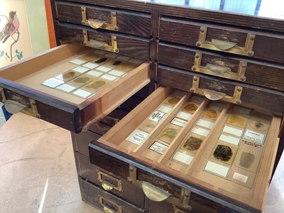 Lot 2573 - Collectors cabinet containing vintage microscope slides