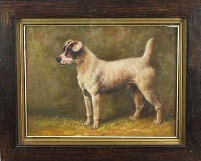 Lot 1047 - English School, circa 1950, oil on board- Parson Russell Terrier, in gilt 
and oak frame. 28 x 40cm.