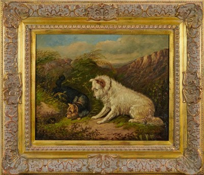 Lot 1041 - Albert Clark, oil on canvas "Pot Hunting" terriers at a rabbit hole, signed and inscribed, in gilt frame. 
40 x 50cm.