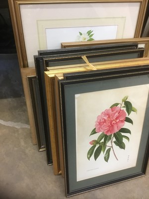 Lot 185 - Collection or decorative floral prints, all in glazed frames