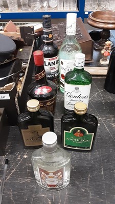 Lot 148 - Seven bottles of alcohol - Barcadi, Lamb's Navy Rum, Gordon's Gin, Tia Maria, Napoleon Brandy x 2 and Vodka