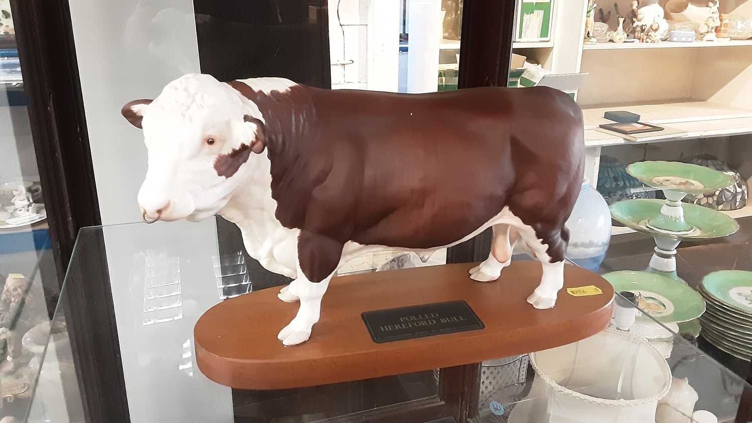 Lot 163 - Beswick Polled Hereford Bull