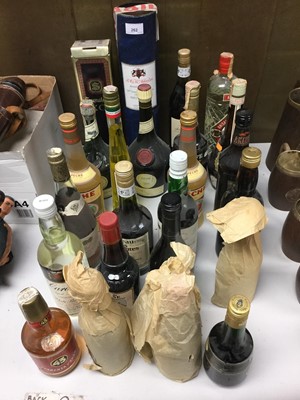 Lot 262 - Twenty four bottles of various spirits to include Armagnac, White rum and Amaretto
