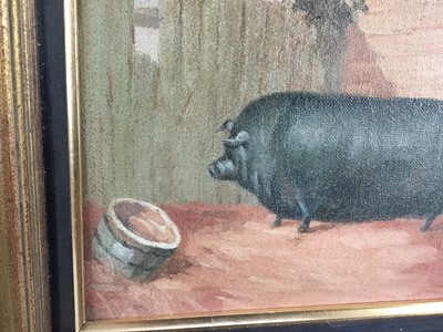 Lot 105 - J. Box (20th century) oil on canvas laid on board - A Prize black pig in a sty, signed, 24.5cm x 21cm, framed.