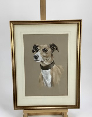 Lot 100 - P. J. Rowles Chapman pastel study - Dog's head, signed, 28cm x 40cm, in glazed frame