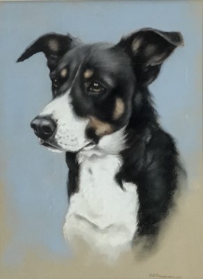 Lot 101 - P.J. Rowles Chapman pastel study - Dog’s head, signed, 25cm x 33.5cm, in glazed