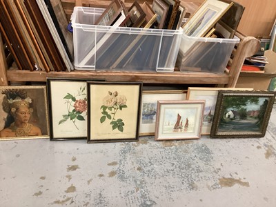 Lot 119 - Large collection of pictures to include 19th century engraving and watercolours, bird prints and others, approximately 60