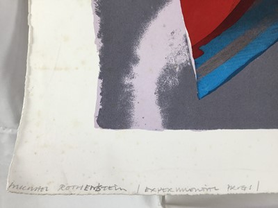 Lot 91 - Michael Rothenstein (1908-1993) signed screenprint - Butterfly, unframed