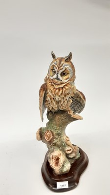 Lot 1161 - Impressive David Fryer Studio model of a Long - eared Owl, on wooden stand