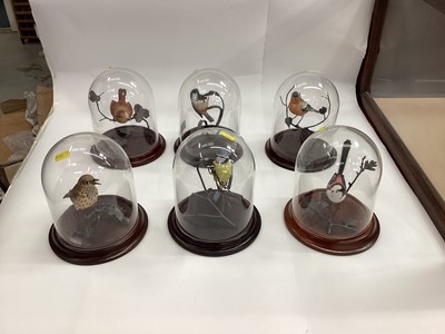 Lot 1163 - Six models of song Birds under glass domes, together with eight various other ornaments of birds including David Fryer.