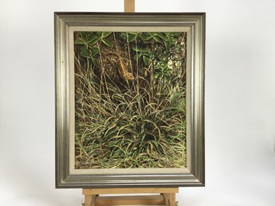 Lot 96 - Ken Turner oil on board - mouse amongst grass, signed, 35cm x 43cm, framed