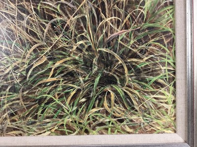 Lot 96 - Ken Turner oil on board - mouse amongst grass, signed, 35cm x 43cm, framed