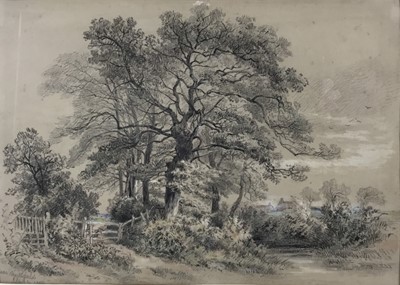 Lot 202 - John Steeple (1823-1887) chalk and charcoal, two landscapes - Old Kings Heath, Near Northfield, both signed and dated
