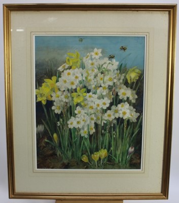 Lot 1055 - *Katherine Cameron (1874-1965) watercolour - Spring Flowers, signed, 55cm x 45cm, in glazed gilt frame