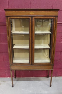 Lot 1400 - Edwardian mahogany and barber-strung display cabinet