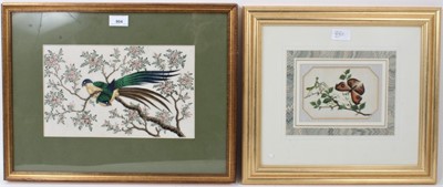 Lot 904 - 19th century Chinese painting on rice paper, depicting exotic birds in flowering shrubs, 19 x 30cm and pair depicting butterflies and stick insects