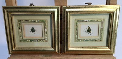 Lot 336 - Two handcoloured engravings - from the history of British butterflies by Rev. F.O. Morris, c1870, framed and supplied by Elizabeth Cannon