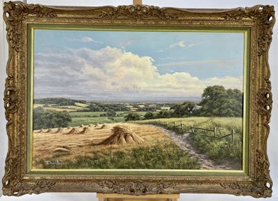 Lot 289 - David Morgan (b.1964) oil on canvas - extensive harvest landscape, signed, 50cm x 75cm, in gilt frame