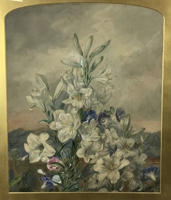 Lot 297 - Mid Victorian large botanical watercolour