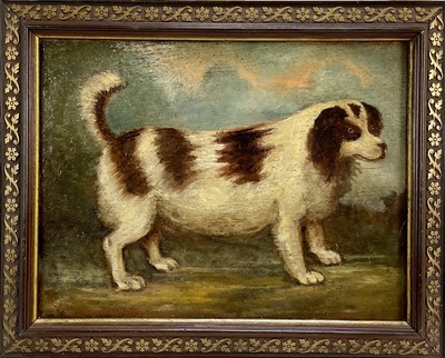 Lot 288 - English School oil on panel- dog, unsigned with label verso, framed