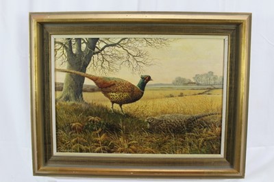 Lot 1009 - S. G. Anderson, oil on canvas - Pheasants  in Landscape, signed and dated 1972, 34cm x 49cm, framed