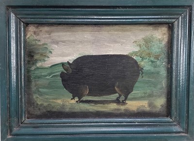 Lot 249 - Naive English School, oil on board, A prize pig, in painted frame. 
20 x 31cm.