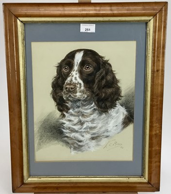 Lot 251 - K.C. Brown, mixed media, "Rufus", a spaniel, signed and dated 
1940, in maple frame. 34 x 27cm.