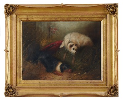 Lot 992 - Edward Armfield (1817-1896) pair of oils on canvas - terriers and retrievers, signed, in gilt frames