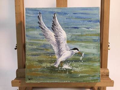 Lot 189 - William Parker, contemporary, oil on canvas - seagull catching a fish, initialled, 20.5cm square, unframed