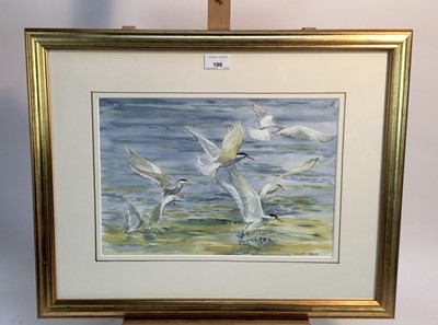 Lot 190 - William Parker, contemporary, watercolour - seagulls, signed, 25cm x 35cm, in glazed gilt frame