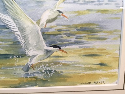 Lot 190 - William Parker, contemporary, watercolour - seagulls, signed, 25cm x 35cm, in glazed gilt frame