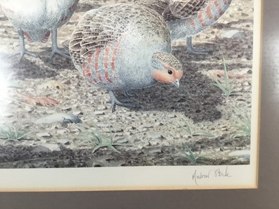 Lot 191 - Andrew Stock, set of four signed limited edition coloured print - GameBids and Wildfowl, 401/850, 30cm x 33cm, in glazed frames