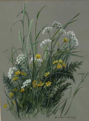 Lot 284 - 1970s English School watercolour and gouache - Wild Flowers, signed and dated '77, 47cm x 34cm, in glazed gilt frame