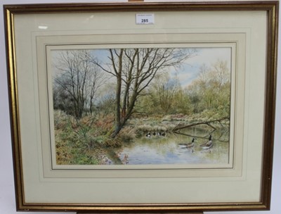 Lot 285 - Ben Perkins, contemporary, watercolour - wildfowl on a river, signed an dated '90, 26cm x 39cm, in glazed gilt frame